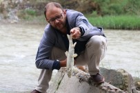 OLTA - Karabük'te Balık Ölümleri Tedirgin Etti