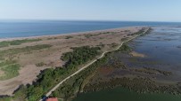 KUŞ CENNETİ - Kızılırmak Deltası'nda 'Daimi' Hazırlık