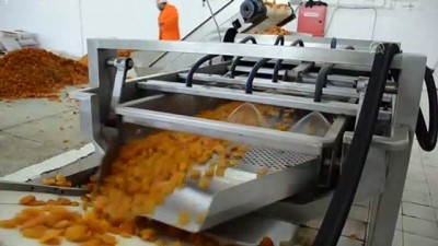 Kuru Kayısıdan 9 Ayda 174 Milyon Dolar Kazanç