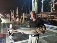 Marmaris'te 30 Kiloluk Akya Balığı Görenleri Şaşırttı