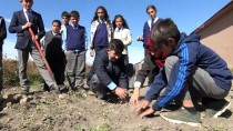 Öğrenciler Okul Bahçesinde Patates Üretti Haberi