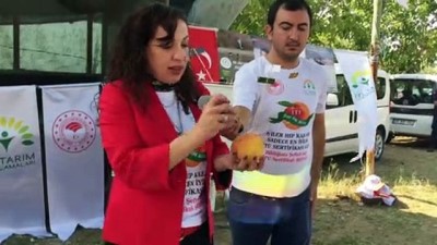 Tire'de İyi Tarım Projesi Sertifika Töreni Yapıldı