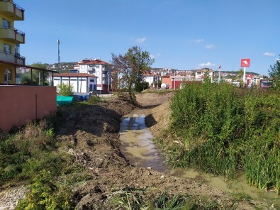 Dere Temizliği Yapılıyor