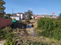 Dere Temizliği Yapılıyor