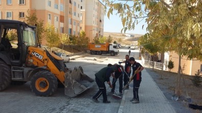 Edremit Esentepe'de Hummalı Çalışma