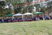 DENIZ PIŞKIN - Tosya'da Sünnet Şöleni Yapıldı