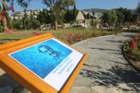HAYVAN HAKLARı FEDERASYONU - Bodrum'a Halikarnas Balıkçısı Arboretumu Kurulacak