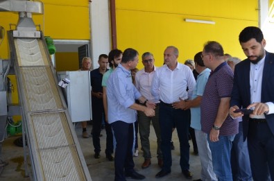 Didim Zeytin Festivali Sona Erdi