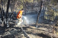 KARLıSU - Hatay'da Orman Yangını