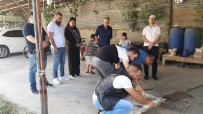 İŞ KADINI - Mehmetçik İçin Kurban Kesilip, Dua Edildi