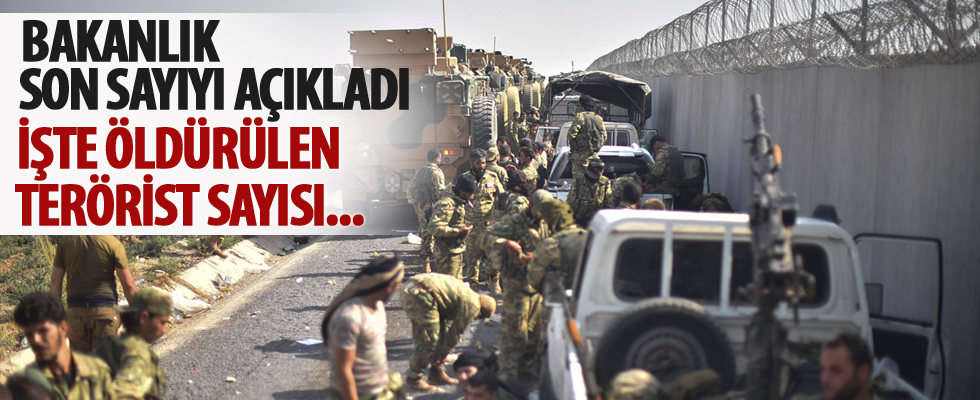 Barış Pınarı Harekatı'nda etkisiz hale getirilen terörist sayısı açıklandı