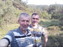 PORSUK - Bu Ağaç Osmanlı Devletini Gördü