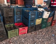 Isparta'da 900 Kilo Kerevit Ele Geçirildi