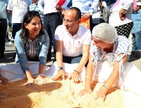 YEREL YÖNETİMLER - Tarhana Kazanları Urla'da Kaynadı