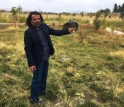 VAN YÜZÜNCÜ YıL ÜNIVERSITESI - Tedavileri Tamamlanan Kuşlar Yaşam Alanlarına Bırakıldı