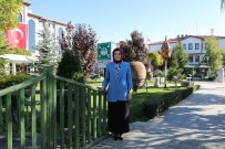 SEL FELAKETİ - Akyurt'ta Acil Toplanma Alanları Belirlendi