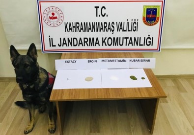 Kahramanmaraş'ta Uyuşturucu Operasyonu Açıklaması 10 Gözaltı
