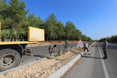 Kepez'in Caddeleri Çiçek Açıyor