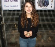 KOMANDO - Müzikle Ayar Verilip HBX-2371 İle Beslenen Bıldırcınlar, Altın Yumurtladı