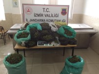Kiraz'da Jandarmadan Uyuşturucu Baskını Haberi