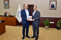 AHMET ATAÇ - MCBÜ'den 'Türkiye'deki Su Yosunları' İle İlgili Önemli Çalışma