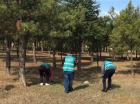 GENÇLIK PARKı - Önerler'deki Mesire Alanları Ve Cami, Hükümlüler Tarafından Temizlendi