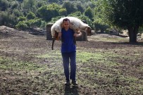 ÖZLEM ÇERÇIOĞLU - Aydın Büyükşehir, Çine Çaparına Sahip Çıktı
