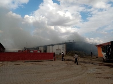 Bolvadin'de Çiftlik Yangını