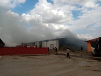 BÜYÜKBAŞ HAYVANLAR - Bolvadin'de Çiftlik Yangını