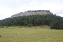 KANYON - İsfendiyar Dağları'nın Saklı Güzelliği Açıklaması Türkeli Hacıağaç Yaylası