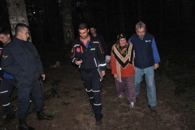 Ormanlık Alanda Kaybolan Kadın 4 Saat Süren Çalışma Sonrasında Bulundu