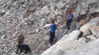 Sason'da Kayalıkta Mahsur Kalan Keçi 7 Saatlik Çalışmayla Kurtarıldı