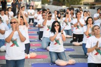 RıZA METE - Taşköprü'de Can Kurtarma Eğitimi