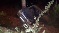 Yoldan Çıkan Otomobil Ağaca Çarptı Açıklaması 2 Yaralı