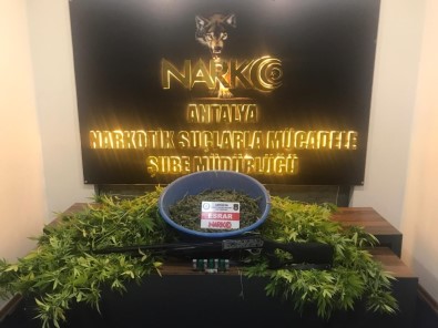 Antalya'da Uyuşturucu Operasyonuna 1 Tutuklama