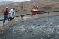 SİVAS VALİSİ - Denize Kıyısı Olmayan Sivas, Dünyaya Balık İhraç Ediyor
