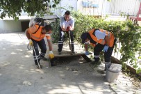 FATIH ATAY - Efeler'de İlaçlama Çalışmaları Devam Ediyor