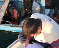 EĞIRDIR GÖLÜ - Eğirdir Gölü'nde Kaçak Sudak Balığı Avcılığına 3 Bin 292 Lira Ceza