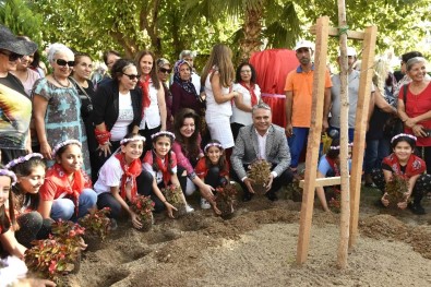 Kadınlardan Başkan Uysal'a 'Dostluk Ağacı' Teşekkürü