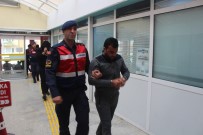 SAVAŞ EĞİTİMİ - Kocaeli'deki DEAŞ Operasyonunda 3 Tutuklama