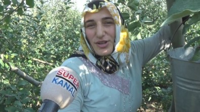(Özel) Atama Bekleyen Bayan Öğretmen Gündelik İşten Parasını Kazanıyor