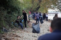 SAPANCA GÖLÜ - (Özel) Erasmus'lu Öğrenciler Sapanca Gölü'nün Kenarındaki Çöpleri Temizledi