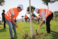 ALAADDIN KEYKUBAT - Rektör Kalan Öğrencilerle Ağaçlara Bakım Yaptı