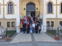 ALACAHÖYÜK - Samsun'lu Öğrenciler Çorum Müzesinde Eğitim Görüyor