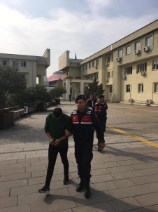 Fındık Hırsızları Yakalandı Açıklaması 3 Tutuklama