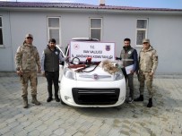 AVCILIK - Jandarmadan 'Gece Far' Avcılarına Operasyon