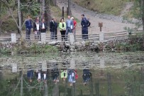 Kaymakam Pişkin, Dipsizgöl Tabiat Parkı'nda İncelemelerde Bulundu