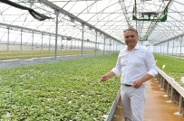 ERMENEK - Muratpaşa Bahçe Bitkileri Üretip Satacak