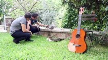 İLHAM - Sokak Hayvanları İçin Şarkı Bestelediler