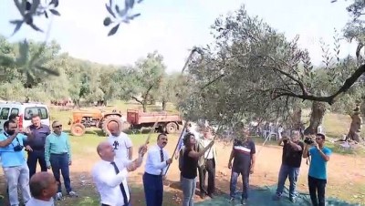 Zeytinyağının Litresini 100 Bin Liradan Satışa Sunacaklar